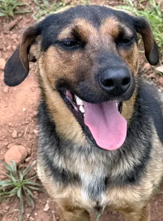 Isla