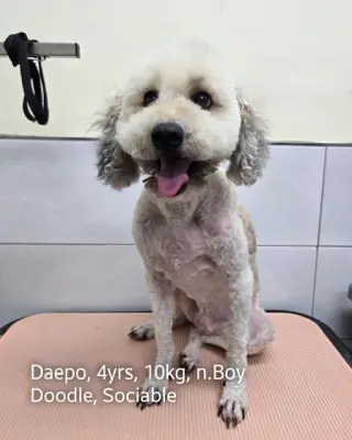 DAEPO