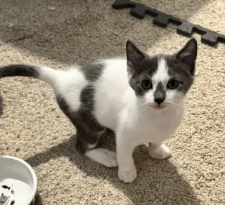 Monty