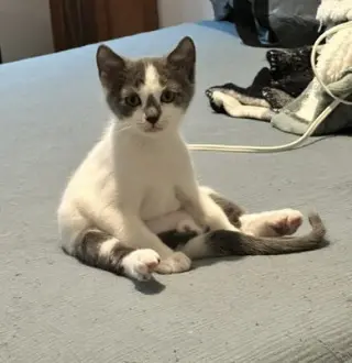 Monty