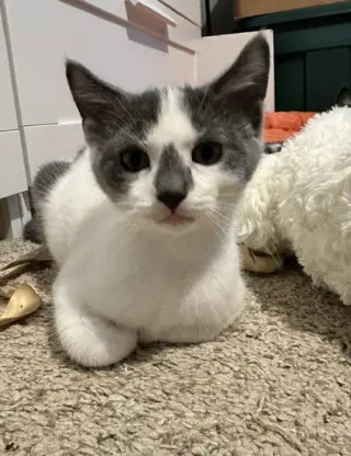 Monty
