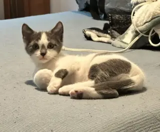Monty