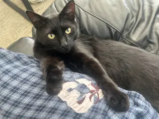 Mr. Tuxy