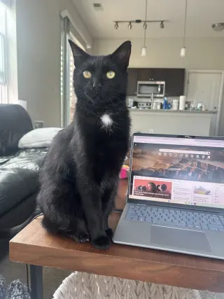 Mr. Tuxy