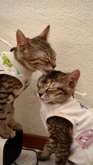 Tumbles (& Jumbles)