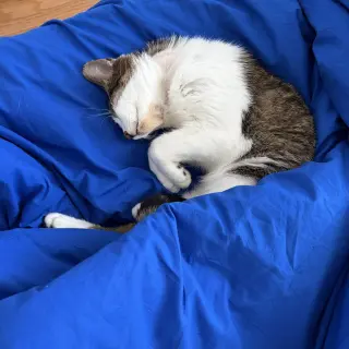 Leo