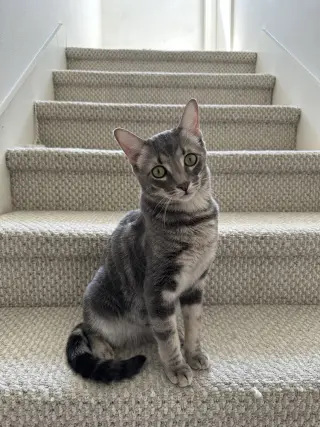 Theodore