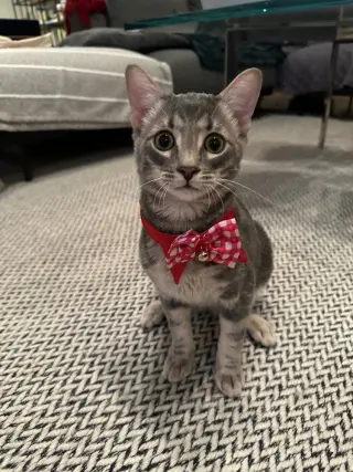 Theodore