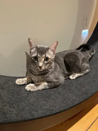 Theodore