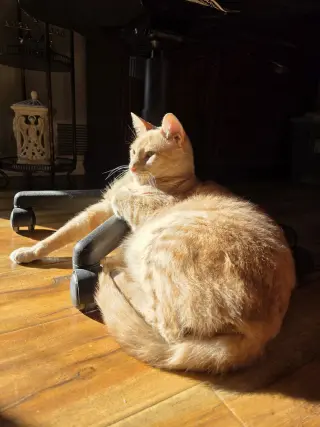 Logan