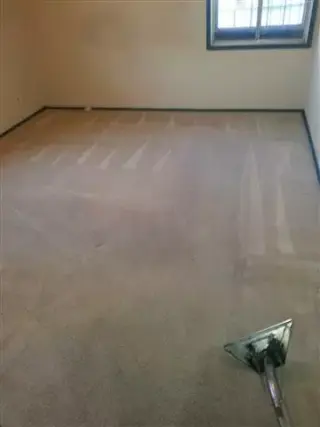 LAVADO DE ALFOMBRA A VAPOR