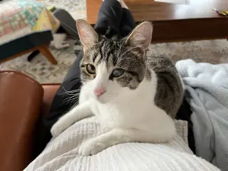 Felicity