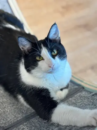 Xavier