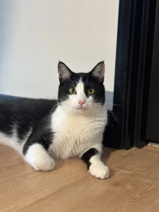 Xavier
