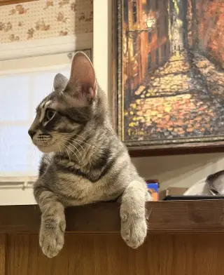 Poco