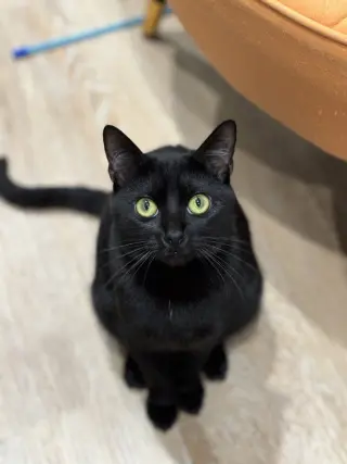 Asia