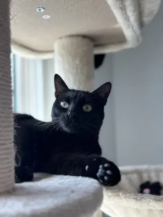 Asia