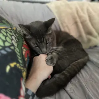 Milo Mike