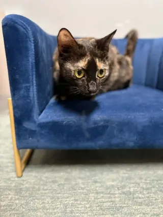 Audrey Hepburn