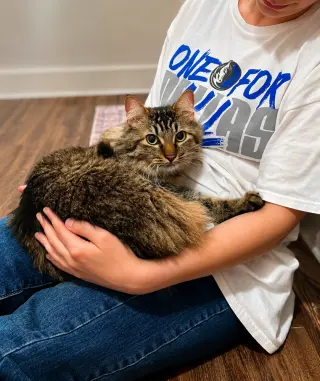 Pablo
