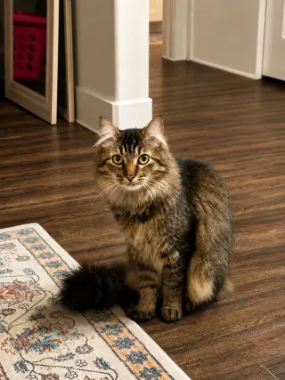 Pablo