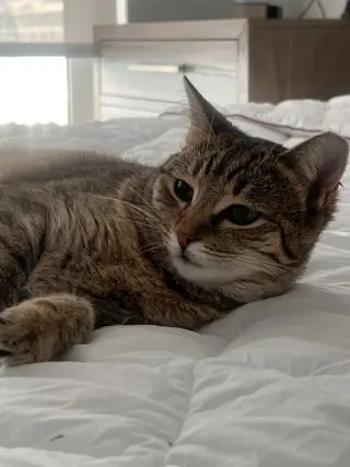 Tiny Hermione