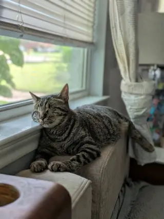 Lucius