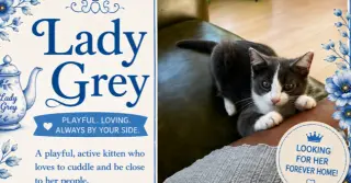 Our Lady Gray