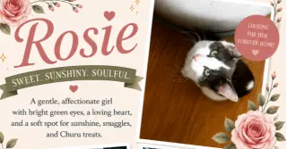 Rosie Posie