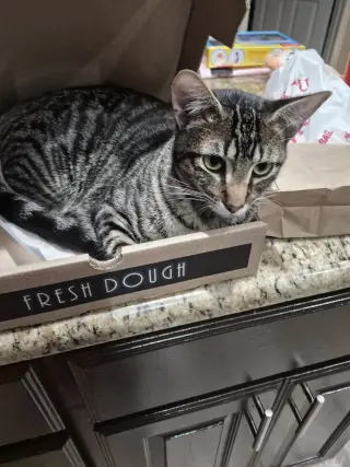 Simon Toast