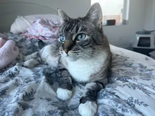 Beverly