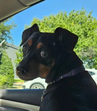 Jax