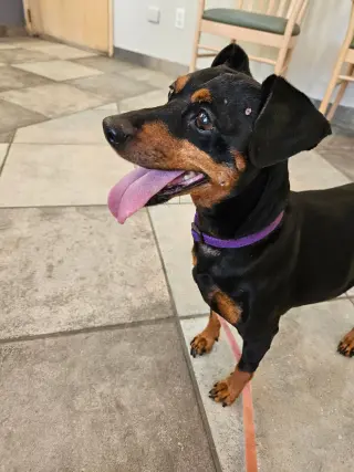 Jax