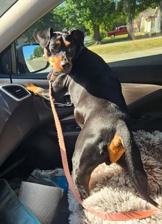 Jax