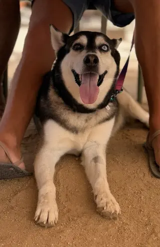Skye