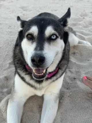 Skye