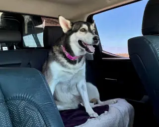 Skye