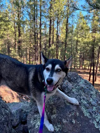 Skye