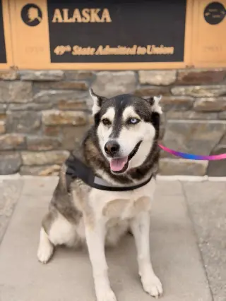 Skye