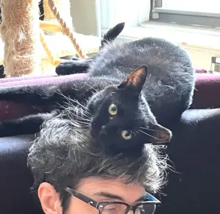Coala