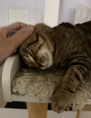 Kal Kal
