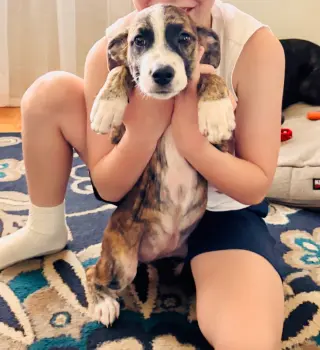 Georgia