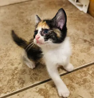 Esme