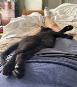 Poblano