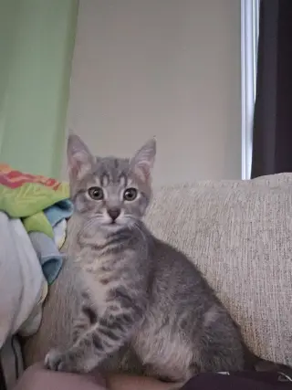 Freya