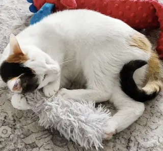 Pretzel & Bagel