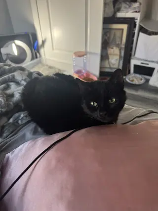 Skye