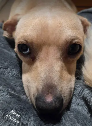 Nancy in TX