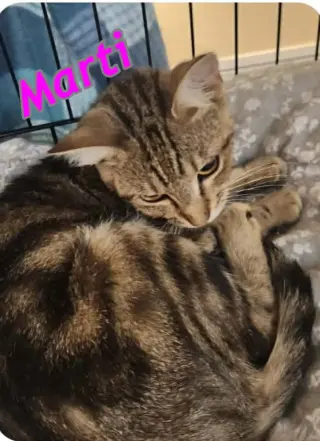Marti AND Polly