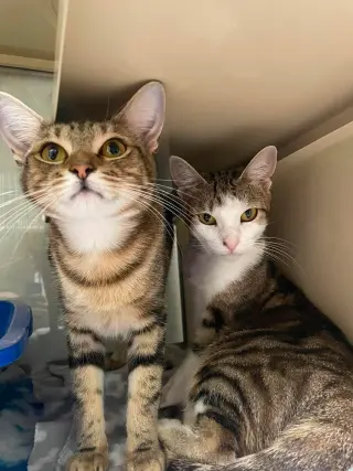 Polly AND Marti